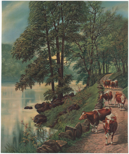 Vintage Calendar Art cows, cattle, livestock, farm life, etc.